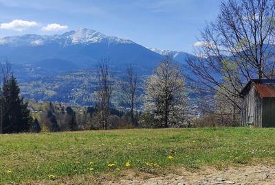 Teren de 3000 mp, în Moisei