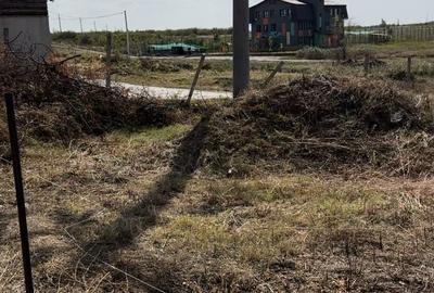 Teren de 624 mp, în Mogoșoaia - 2