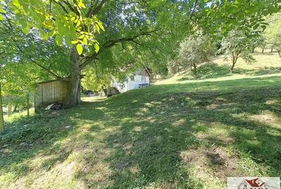 Casa de vanzare in zona Vintu cu 10.790 mp teren - 16