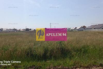 Teren, zona Dobroesti Pantelimon - 5