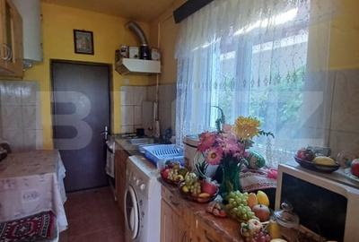 Casa renovabila, 2 camere, zona Cetate - 16
