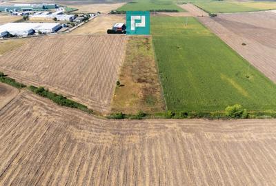 Oportunitate! Teren 4.345 mp - Șagului Oportunitate! Teren 4.345 mp - Șagului - 2