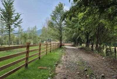 Teren extravilan 13.800 mp Ra?nov, Glajarie priveli?te superba, oportunitate de investi?ie Teren extravilan 13.800 mp Ra?nov, Glajarie priveli?te superba, oportunitate de investi?ie - 9