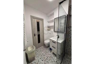 Apartament cu 3 camere semidecomandat, mobilat în Drumul Taberei - 12