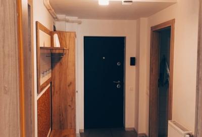Apartament cu 2 camere decomandat, mobilat în Banat - 19