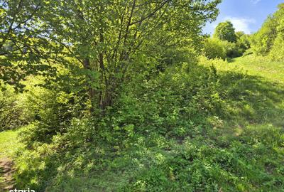 Spațiu comercial, în Schei - 5