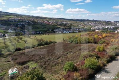 Teren de 6896 mp, în Borhanci - 12