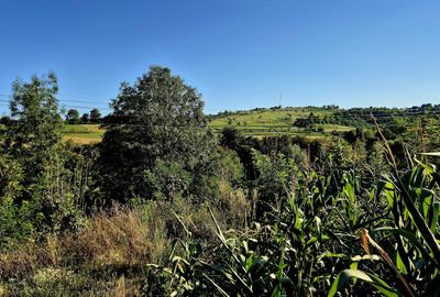 Spațiu comercial, în Central - 4