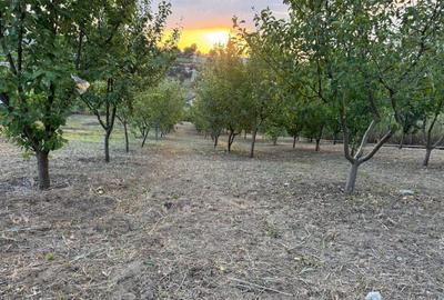 Spațiu comercial, în Vulturi - 2