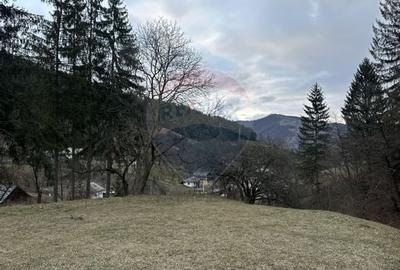 Teren 2,000mp Stejaru (Pangarati) / None - 3