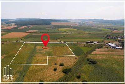 Teren extravilan de vânzare, 4.02ha - 40272m?, Gornești! - 10
