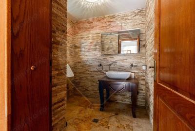 Casa spectaculoasa in Media? re?edin?a antrenorului Cristi Pustai - 13