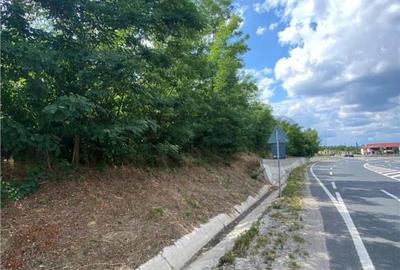 RECO Teren Extravilan Bratesti - 3