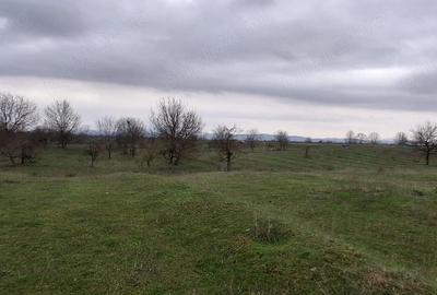 Teren de 3700 mp, în Central