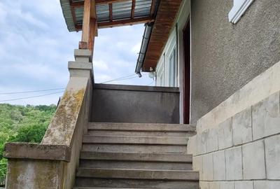 Vanzare casa ?i teren - 2