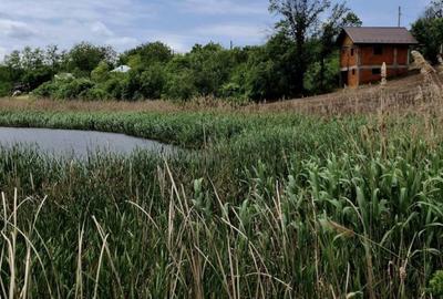 Casă cu 4 camere în Central - 5