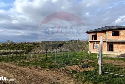 Spațiu comercial, în Păulești - 5