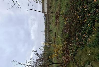 Casa de vanzare in Stoene?ti Olt - 8