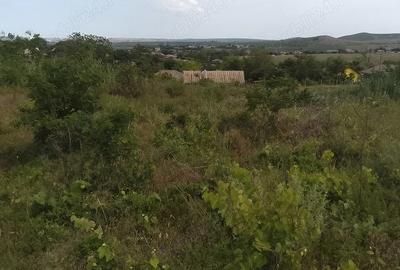 Teren în Somova - 2