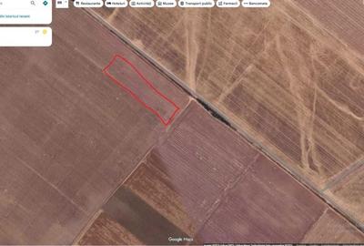 Teren de 6700 mp, în Berceni