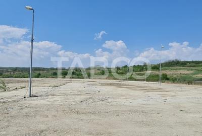 Teren industrial intravilan de vanzare la 3 km de autostrada - 6