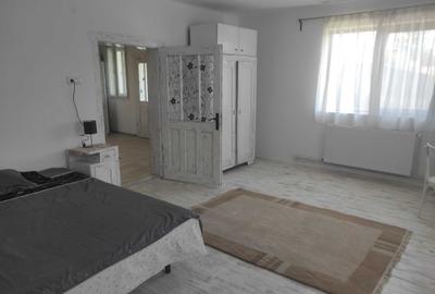 Casă cu 3 camere cu Teren 2000 Mp în Bădeni - 6