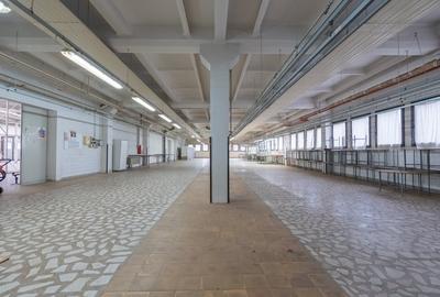 Spațiu comercial, de 3,550 mp, în Mărăști - 9