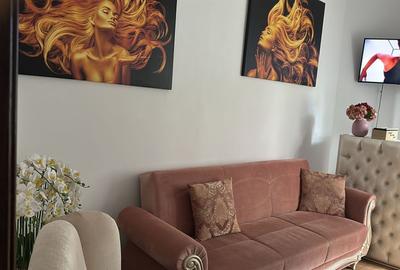 Apartament cu 3 camere semidecomandat, mobilat în Dacia - 1