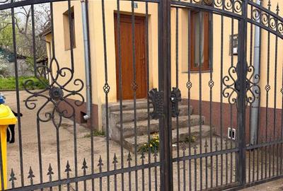 Spațiu comercial, în Brazda lui Novac - 1