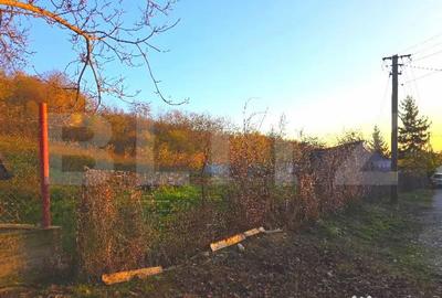 Teren de 3484 mp, în Viforâta - 4