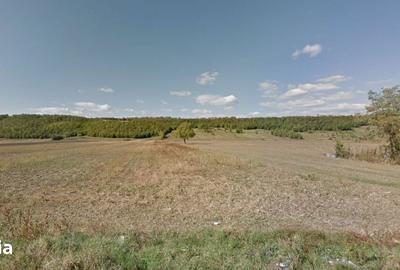 Teren de 2547 mp, în Vălenii de Munte - 7