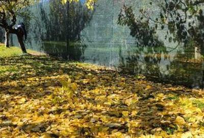 Teren de 2500 mp, în Balotești - 1