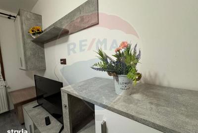 Apartament cu 2 camere în Banu Mărăcine - 12