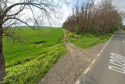 Teren agricol extravilan de 16450 mp, în Grădiștea - 6