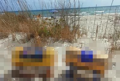 Vanzare 10000 mp plaja virgina,Constanta Vadu la Cherhana Bosoanca drum pietruit - 4