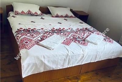 Casa de vacanta  cu 5 camere de vanzare in Rau Sadului Sibiu - 15