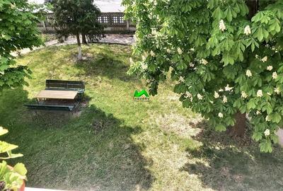 Studio modern dd?nchiriat  pivnita curte Sibiu Victoriei - 6