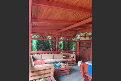 House for sale in central Sighetu Marmației - Maramureș - 12