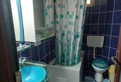 APARTAMENT LA CHEIE,2CAMERE O?elu-Ro?u,Jud.Cara?-Severin - 13