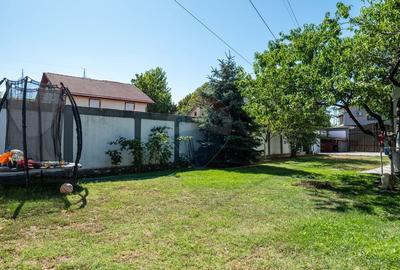 Investitie - vanzare vila deosebita, zona Fundeni - Dobroesti - 14