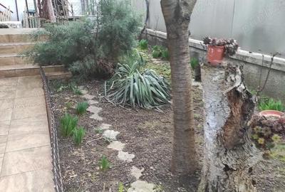 Casă cu Teren 250 Mp în Central - 11