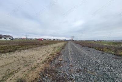 Teren de 530 mp, în Bucovăț (Remetea Mare)