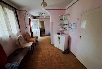 Casă individuală cu 3 camere în Borș