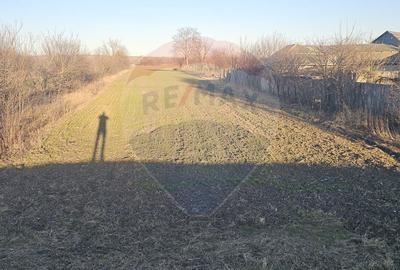 Teren de 6972 mp, în Găiceana - 7