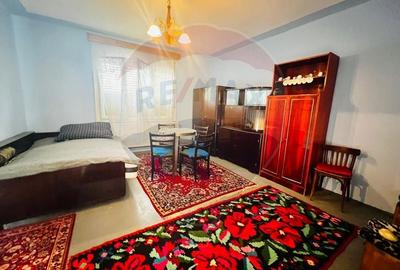 Casă individuală cu 4 camere cu Teren 1672 Mp în Horia - 10