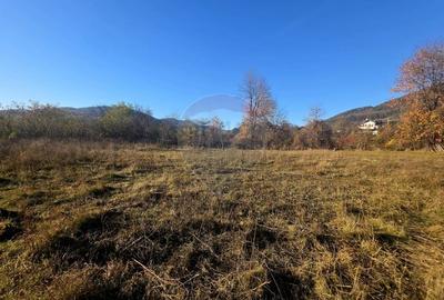 Teren 6,874mp Alexandru cel Bun / Strada plopusor - 4