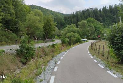 Casă cu 3 camere cu Teren 147 Mp în Lupșa - 8