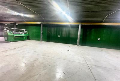 Spațiu industrial, de 500 mp, în Mihai Bravu - 3