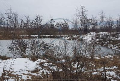 Spațiu comercial, în Șieu - 8