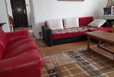 Apartament cu 2 camere semidecomandat în Paltin - 5